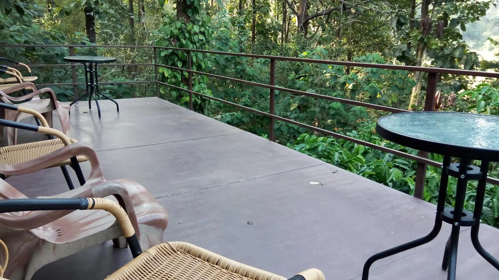 Lodge Villa Jungle Retreat Wayanad