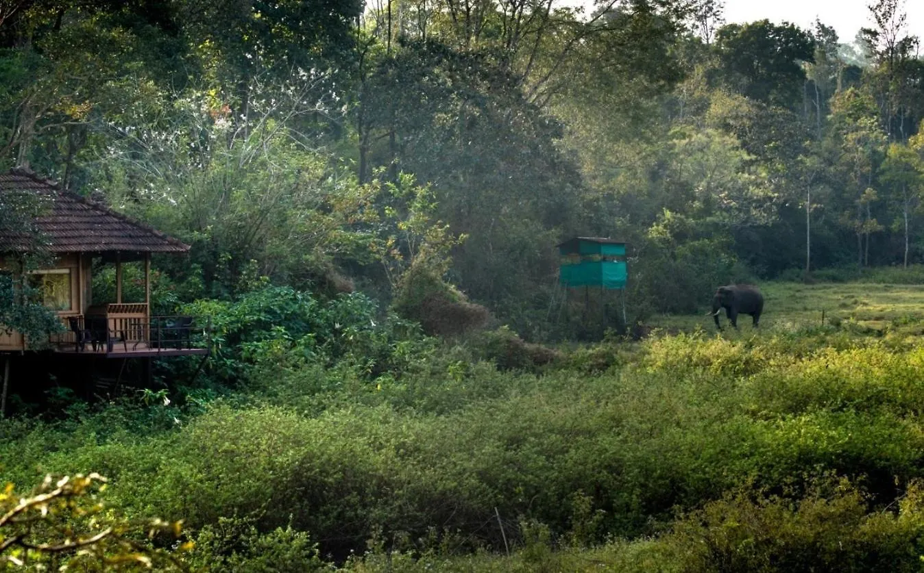 Lodge Villa Jungle Retreat Wayanad India