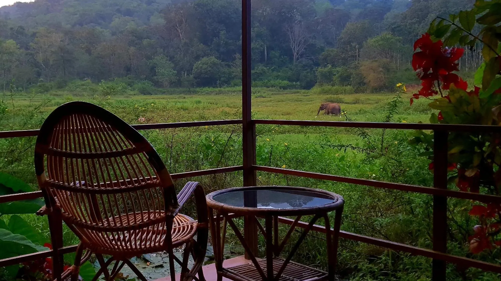 Villa Jungle Retreat Wayanad