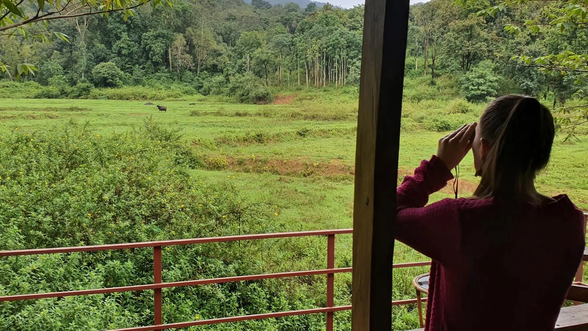 Villa Jungle Retreat Wayanad India